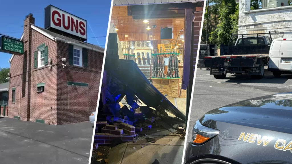 Teen Charged in Delaware Gun Shop Smash and Grab