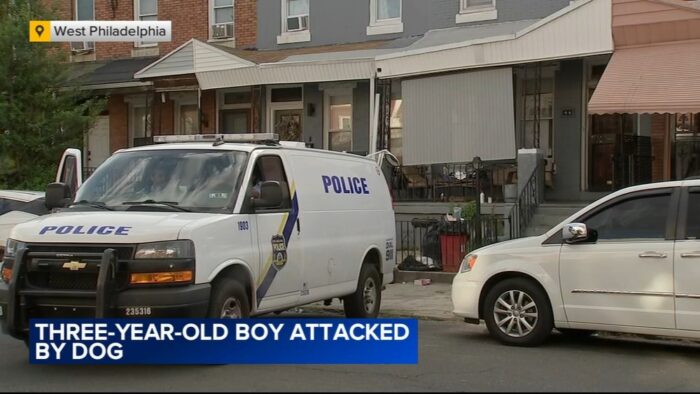 3-Year-Old Bitten Outside Philadelphia Store